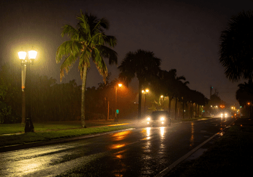 Car driving on a rain-soaked street at night with palm trees and streetlights.
